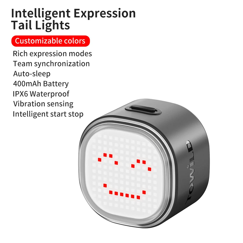 Expression Taillight