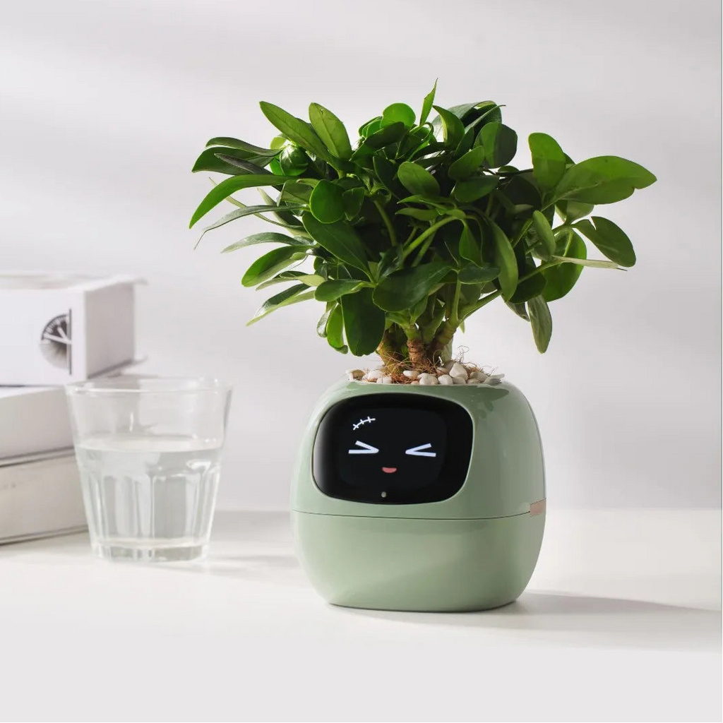 Tuya Ivy Smart Planter